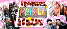 プリシラ原宿オープン！